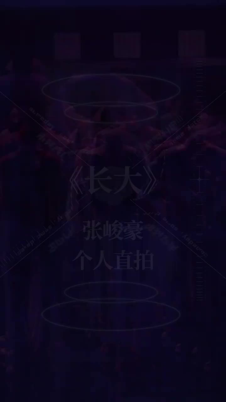 张峻豪-个人直拍
