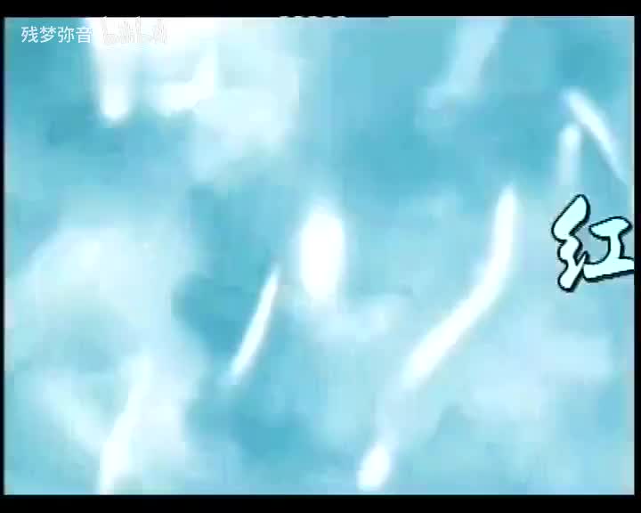 红楼梦 何云 魏蓓蓓