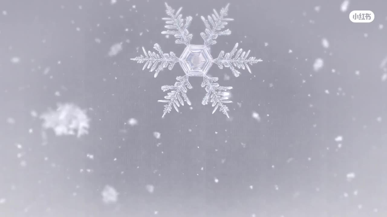 谷爱凌 x 小红书