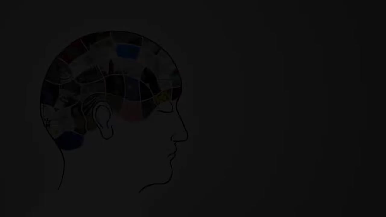 04 - The physics of the hardest move in ballet - Arleen Sugano