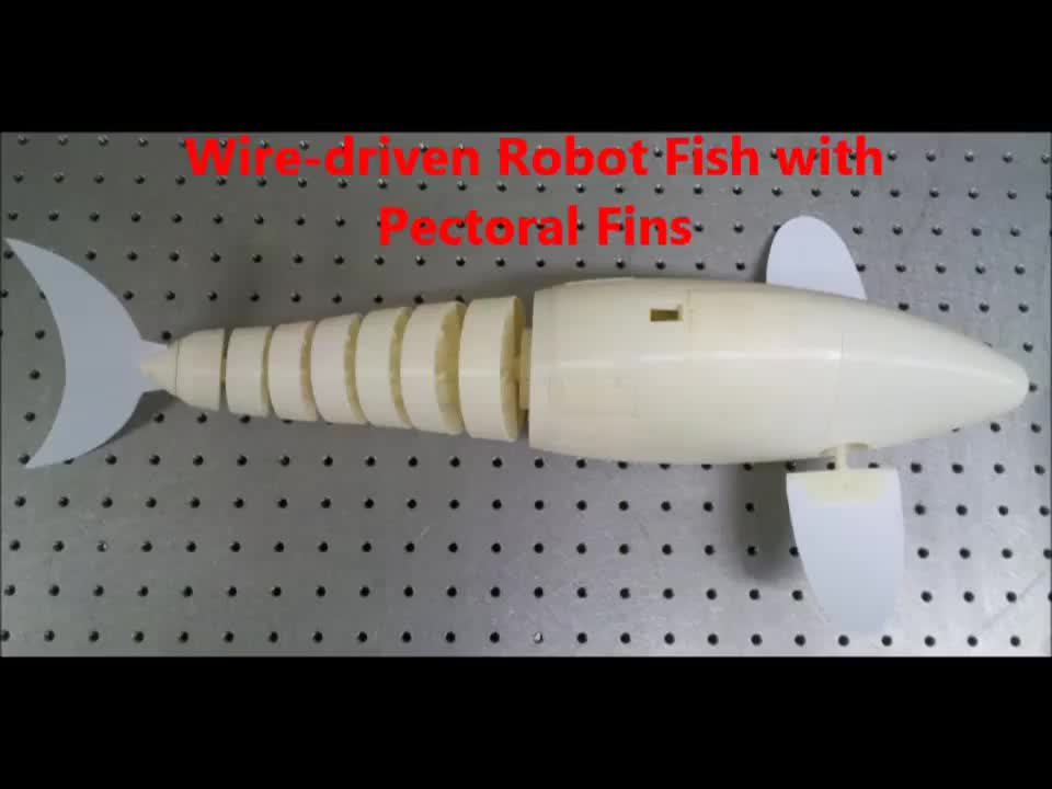 Y2Mate.is - wire driven robot fish with pectoral fins CUHK-LZ-6SB7MxiG_7Y-720p-1