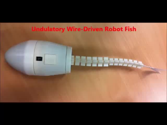 Y2Mate.is - Serpentine Undulatory Robot Fish CUHK-LZ-8f96ntePBFg-480p-1644380315