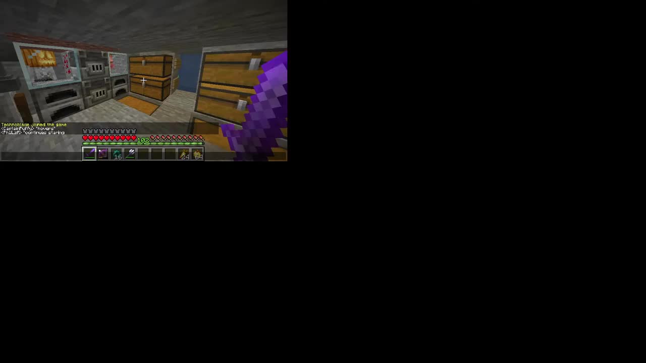 【主线/日常】20201118 the fallout (dream SMP)