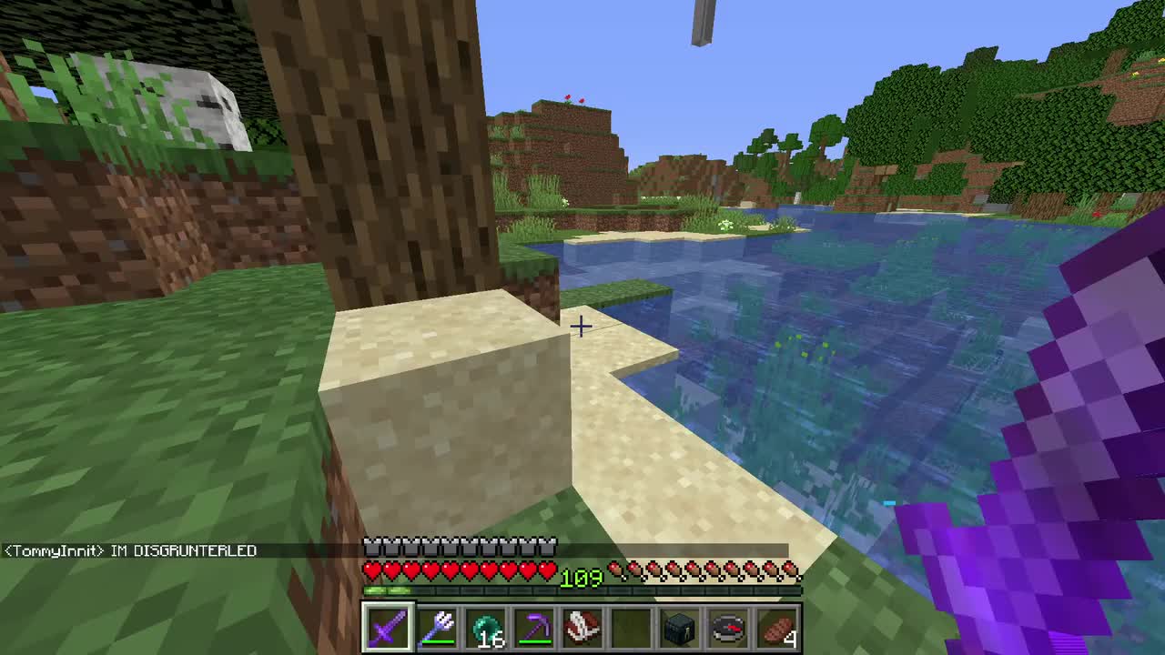 【日常/主线】20201203 a new home (dream SMP)