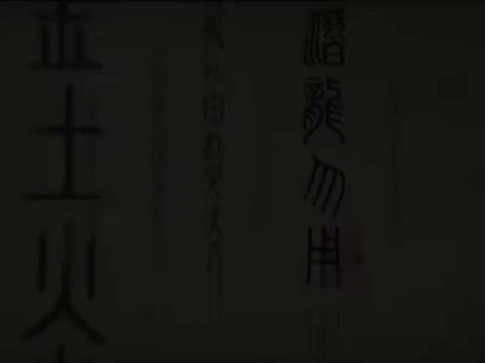 29TCM中医（双语）