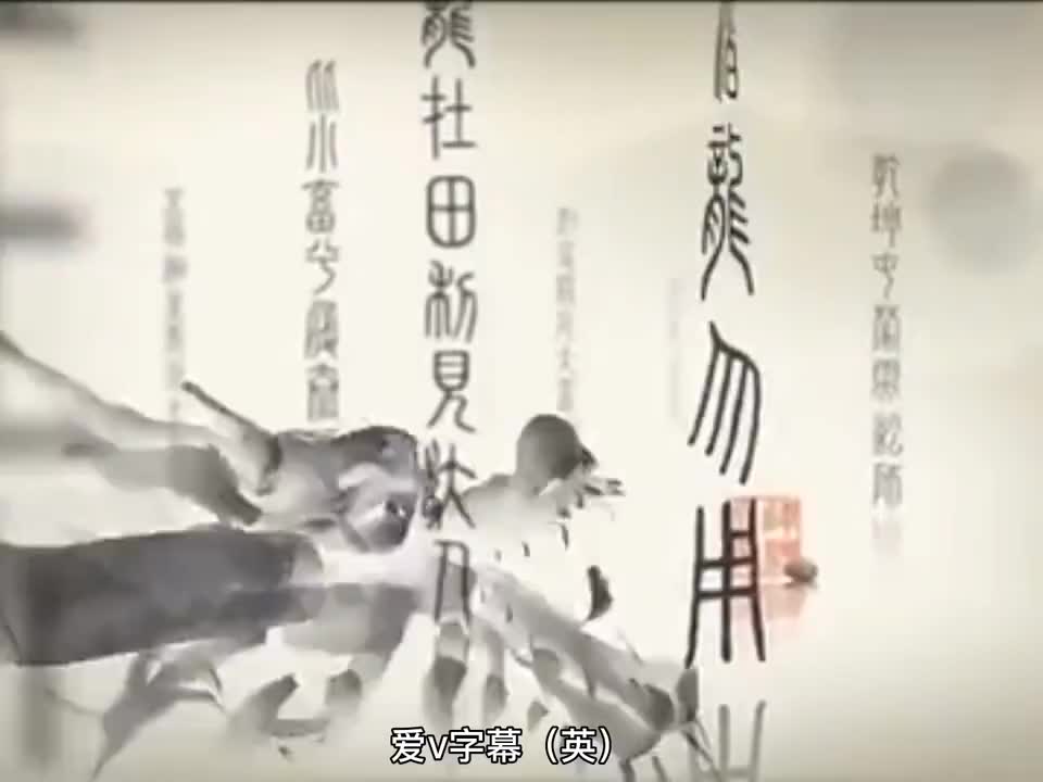 43-Chrysanthemums 菊花