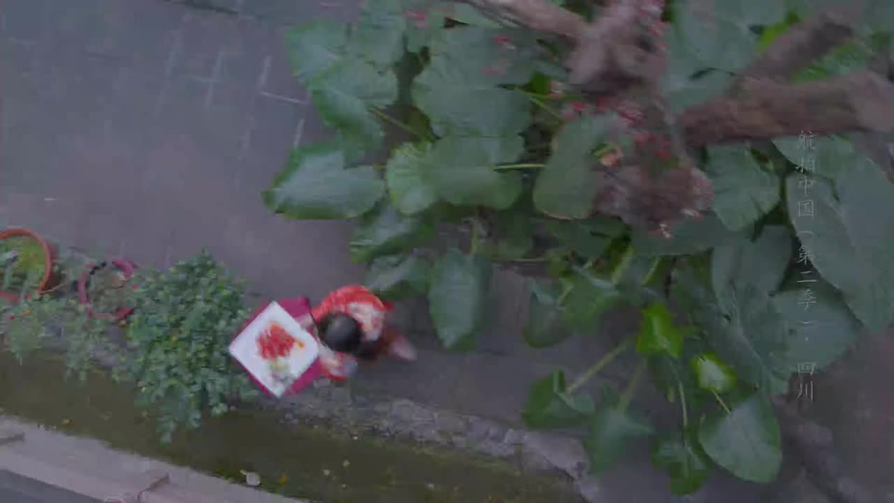 E08 航拍*川菜 · 一镜到底