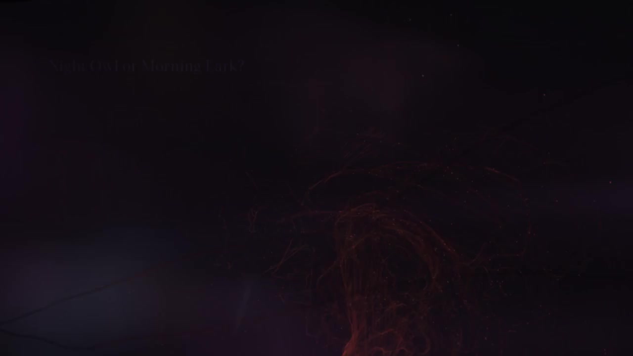 4 夜猫子？还是云雀？