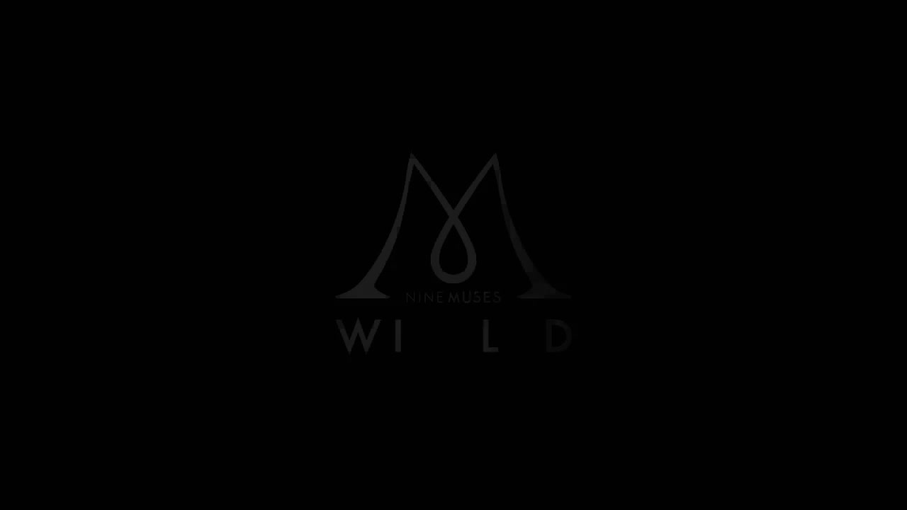 2821 9MUSES(nine muses) - Wild(Wild) MV (1080P)