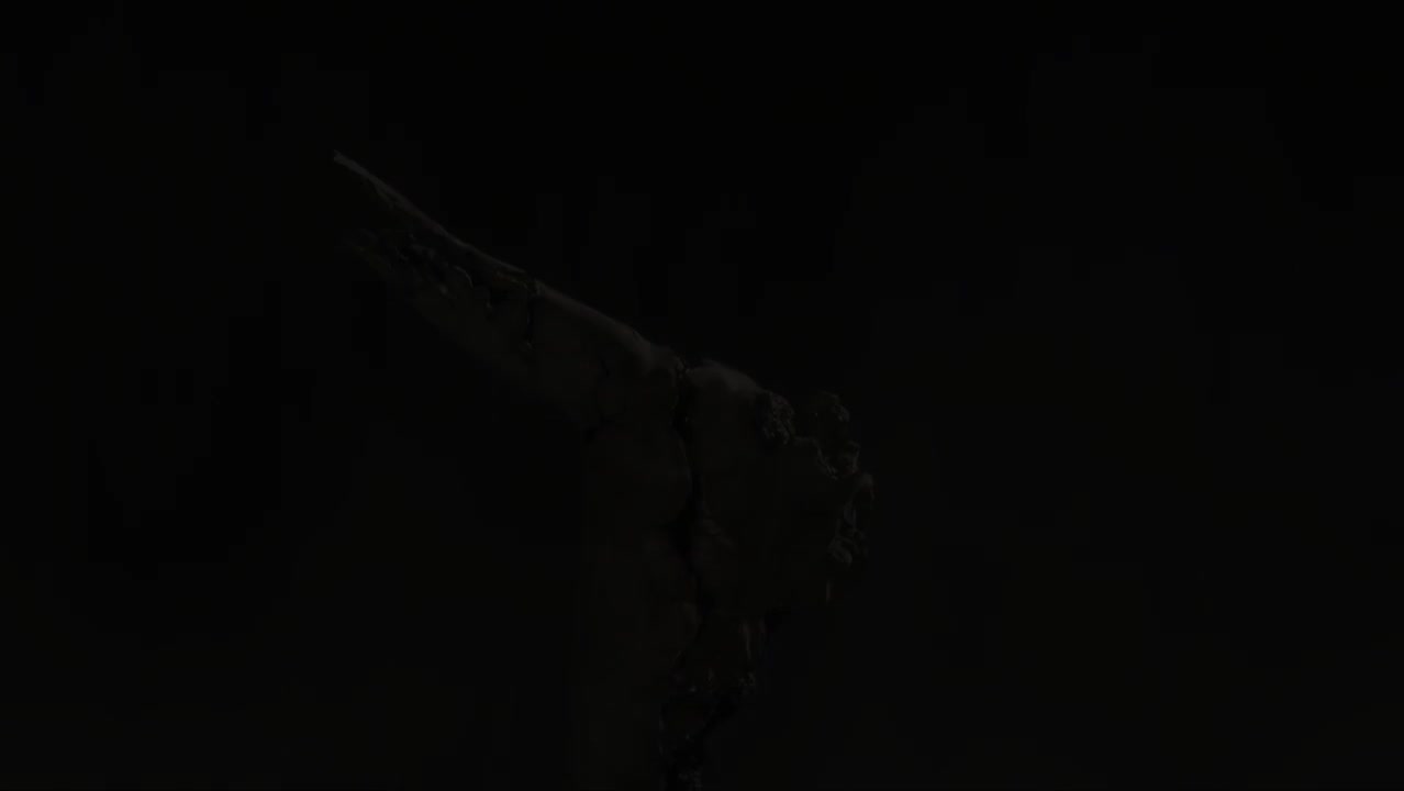 14.结局 艾尔登之王