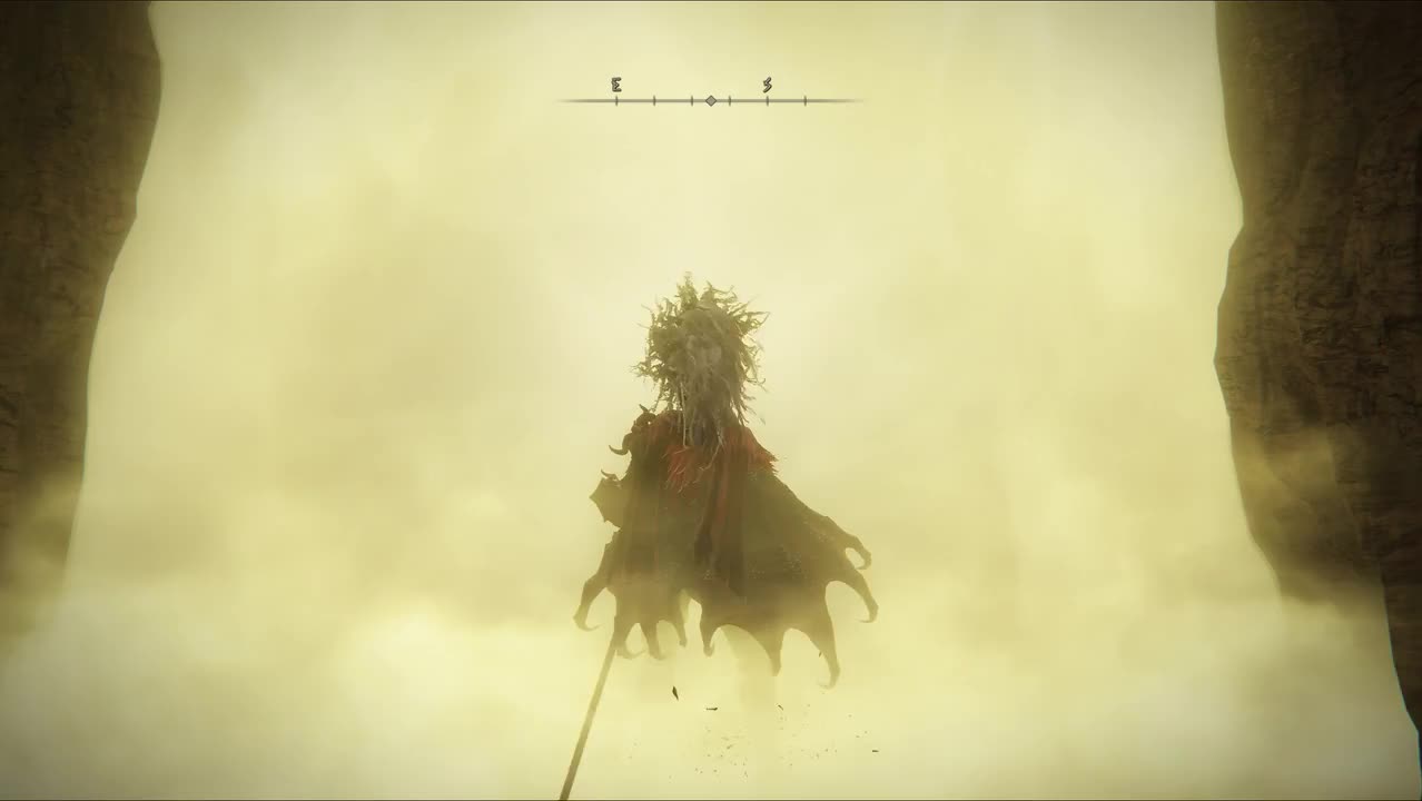 13.“黄金律法”拉达冈和艾尔登之兽（最终boss）