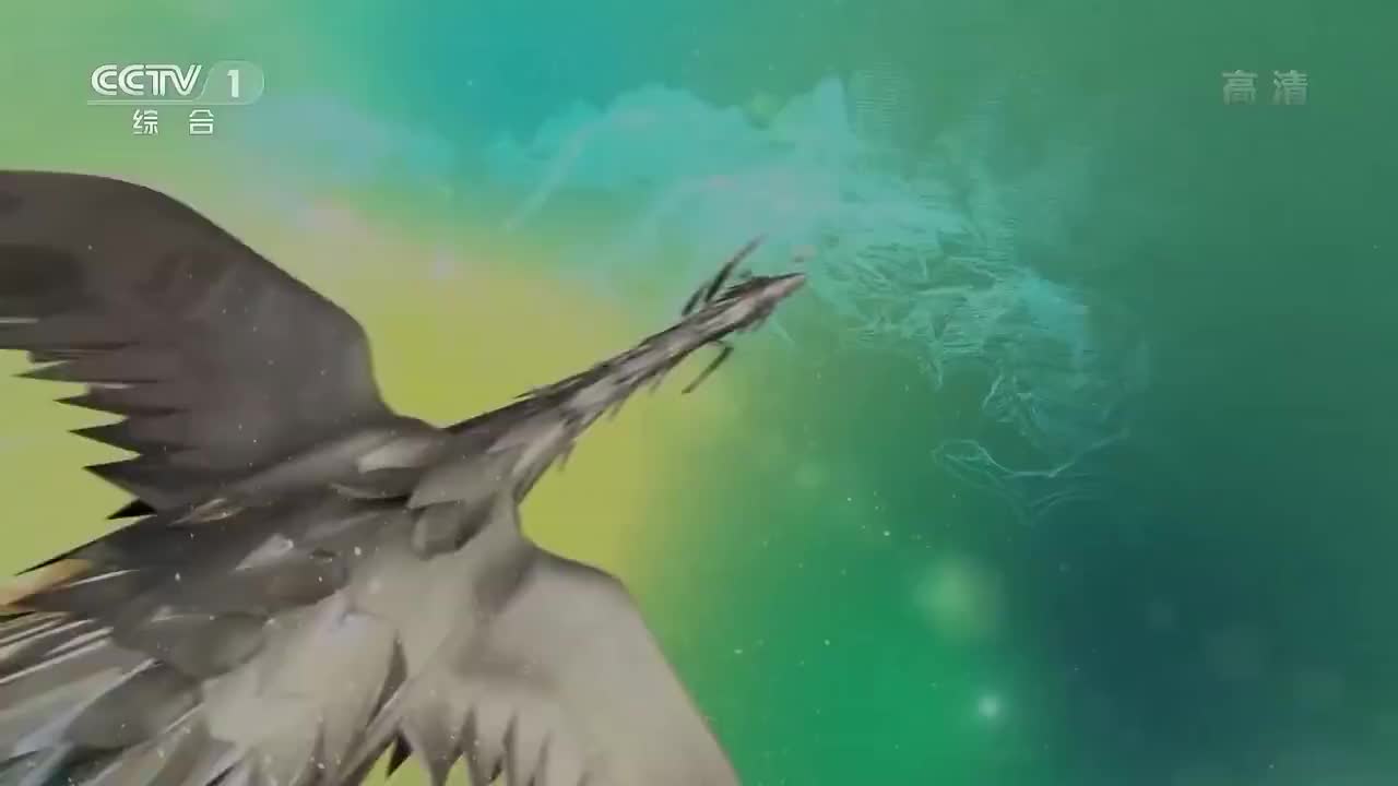 《壮美广西》第五集 向海而兴