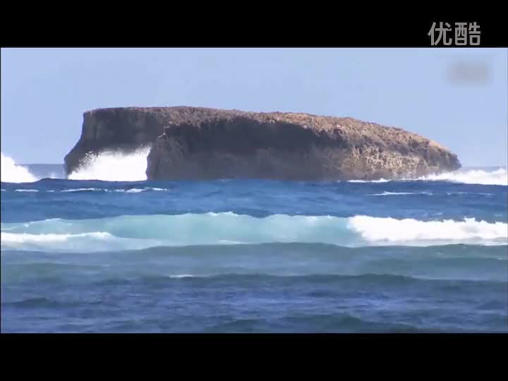 《玩具橡皮鸭漂流记及洋流》（课程导入视频）
