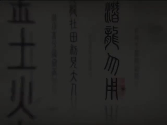 48_#48 《Forbidden City Chinese imperial palace (Hello China )》_清晰 480P