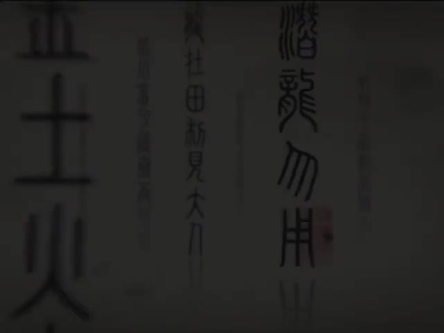 25_#25 《Phoenix King of birds (Hello China)》_清晰 480P