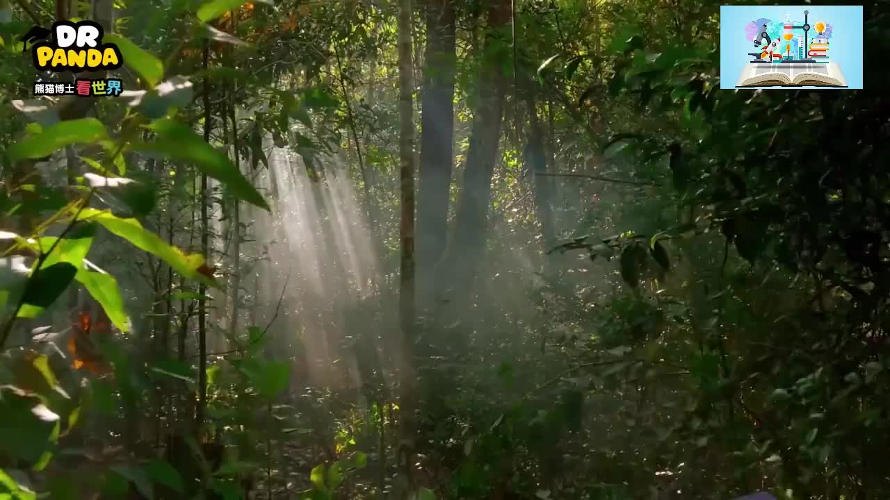 0.昆虫奇遇记：小昆虫的大世界