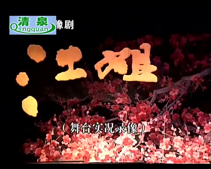 豫剧《江姐》李金枝 丁建英