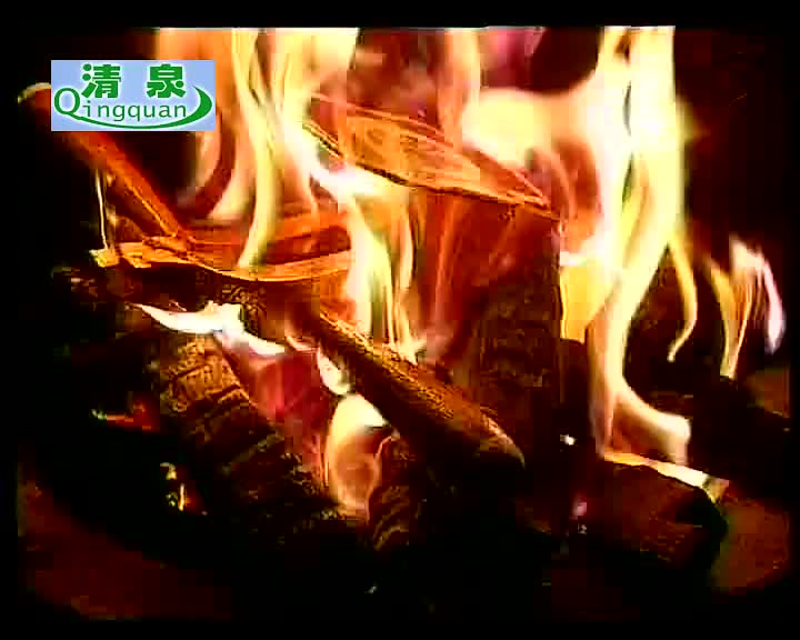 豫剧《泪洒相思地》