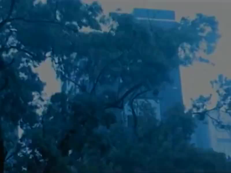 刘德华经典歌曲MV大合集-18-刘德华&吴宗宪&柯受良-笨小孩