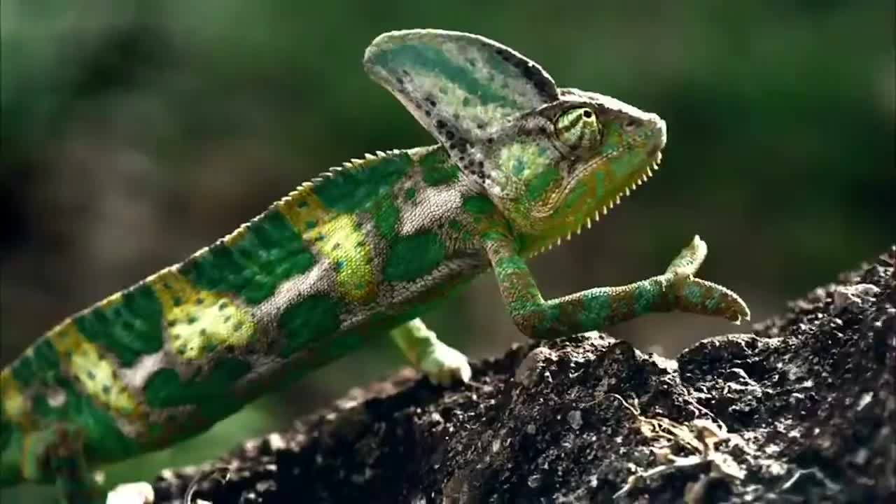 刘德华经典歌曲MV大合集-78-刘德华-解开