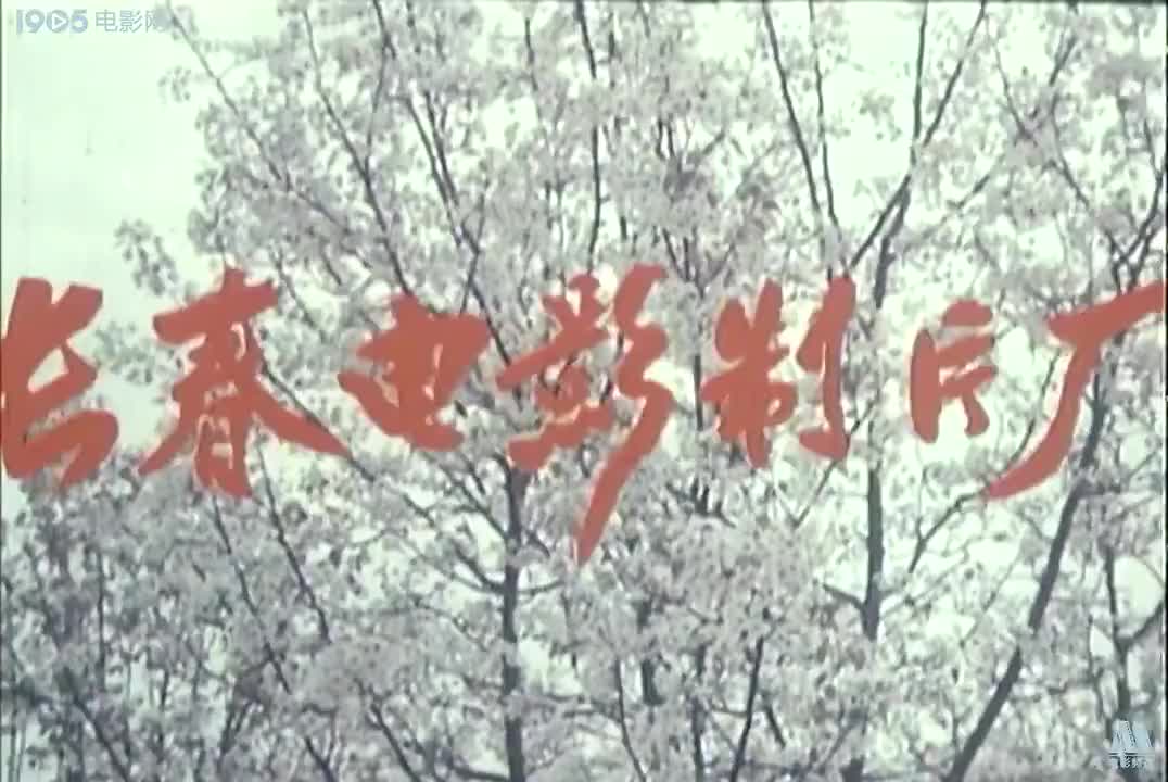 黄梅戏《母老虎上轿》王毓琴 陈小芳