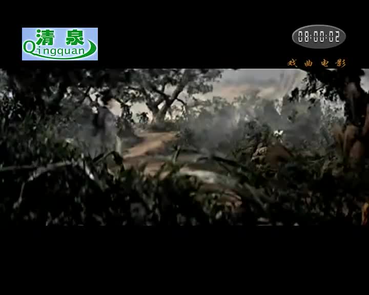 黄梅调电影《七仙女》