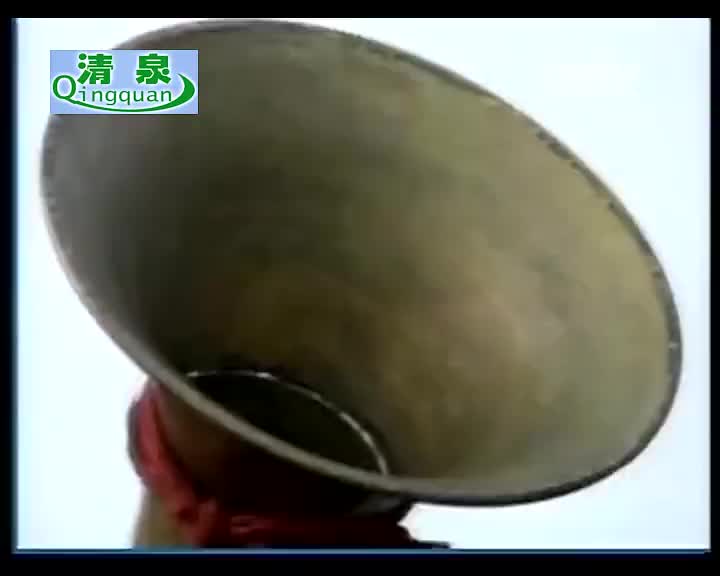 黄梅戏《拉郎配》李雯 刘华