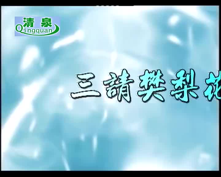 黄梅戏《三请樊梨花》孙娟 汪小铎