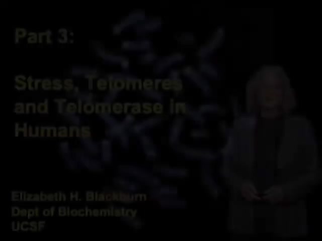 Part 3 - Stress, Telomeres and Telomerase in Humans