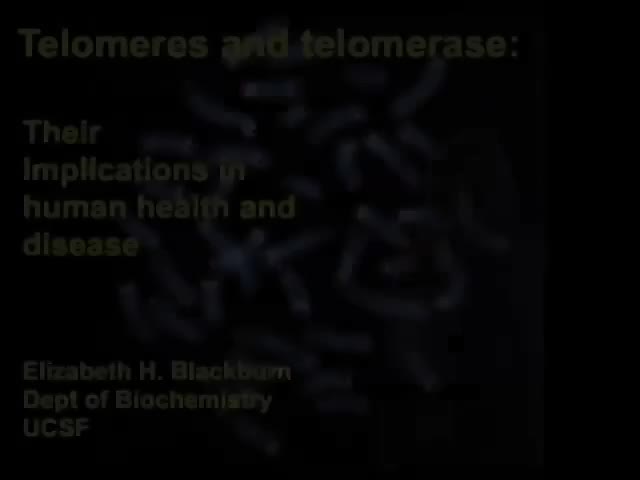 Part 1 - The Roles of Telomeres and Telomerase
