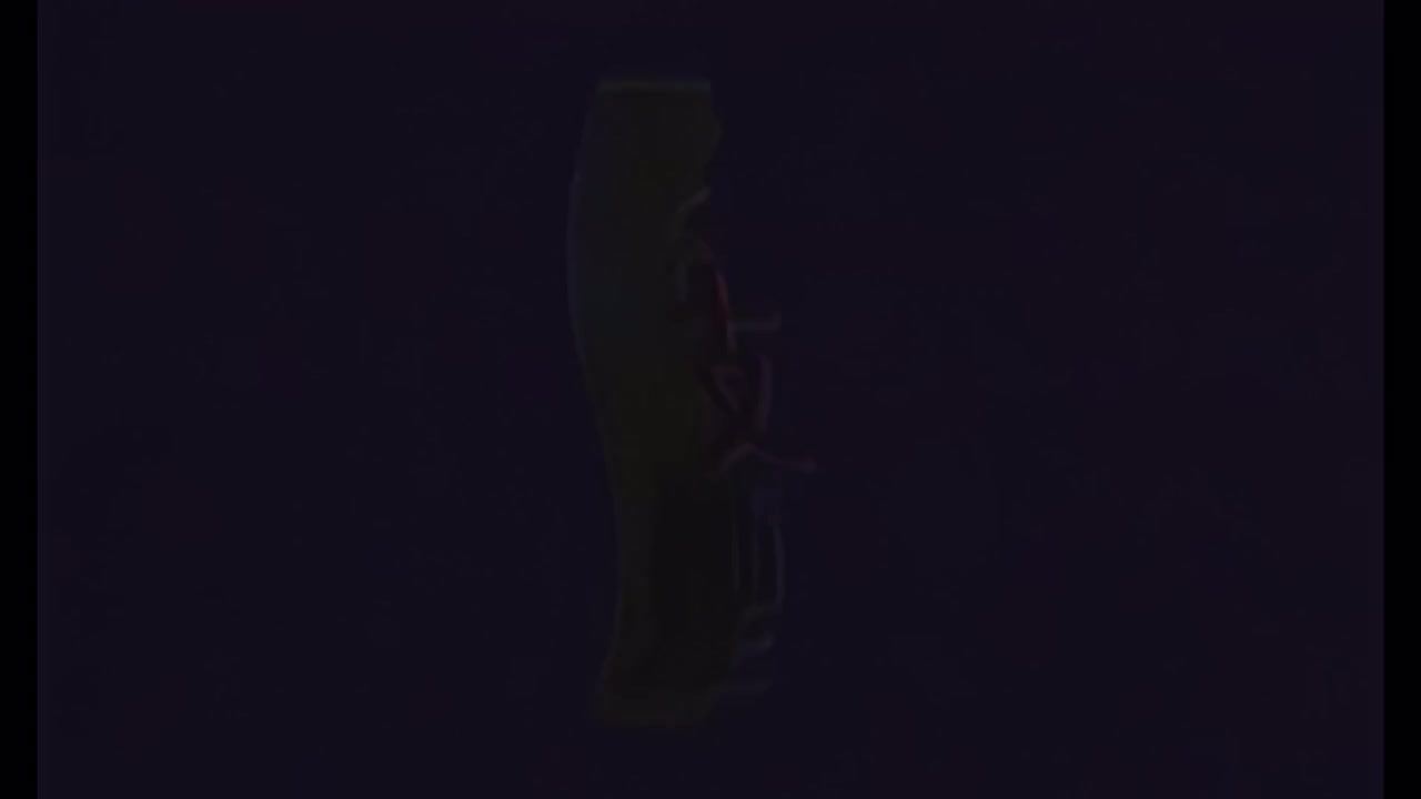 4K - 谢霆锋 - 爱后余生（伴奏版）