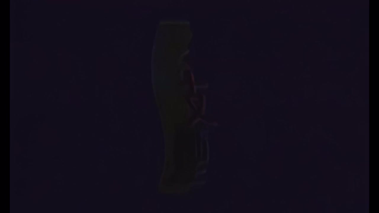 4K - 谢霆锋 - 爱后余生