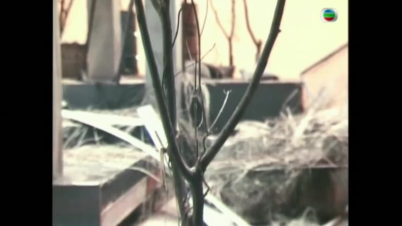 Beyond-送给不懂保护环境的人 包括我