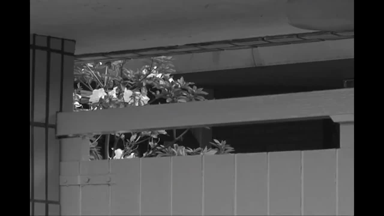 Catherine(完整版MV,非CD音源)