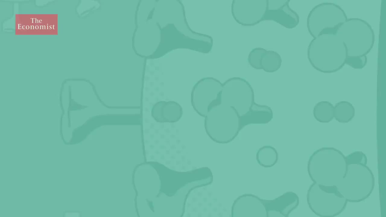 【2020.5.6】146. Covid-19 - what the world has learned during lockdown 我们从疫情封锁学到的