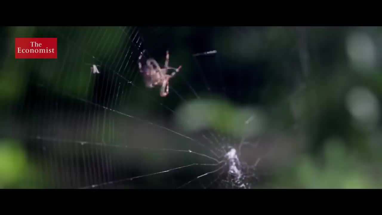 【2018.12.29】272. What will people wear in the future_