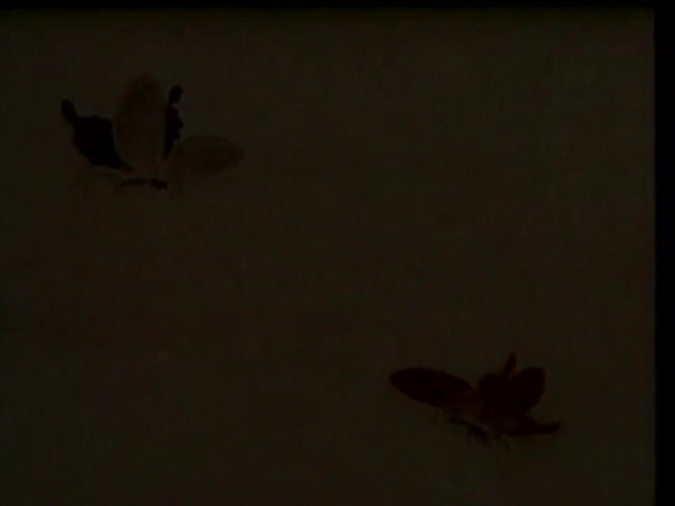 黄梅戏《梁山伯与祝英台》上集(马兰黄新德主演)