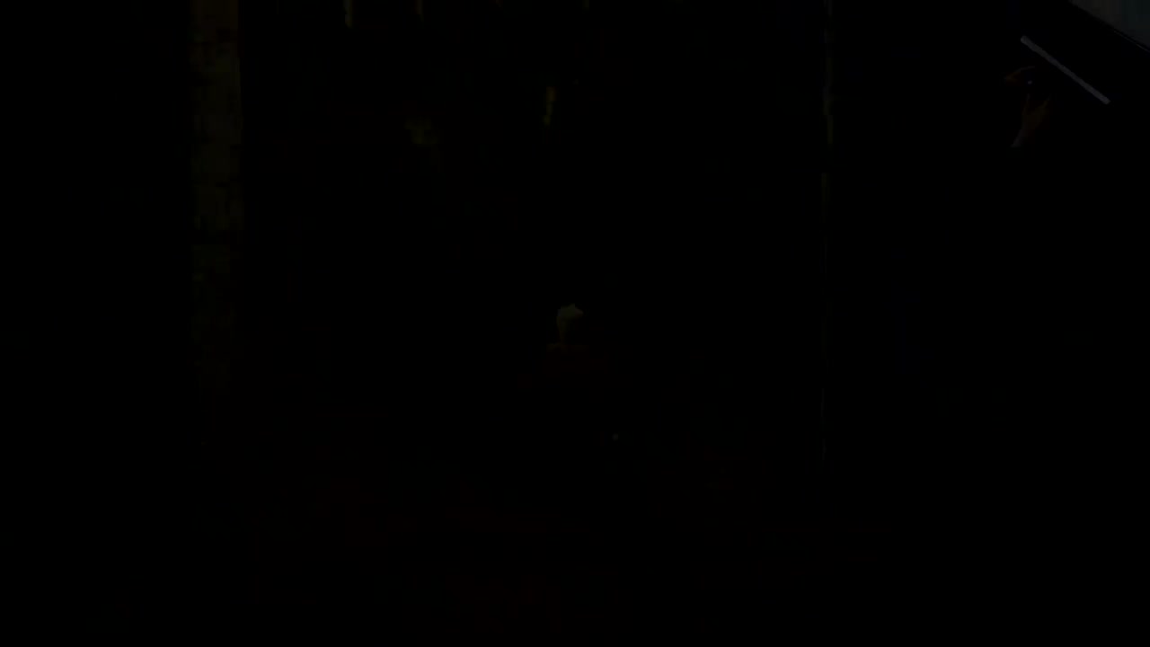 恶兆 盾反 直播版