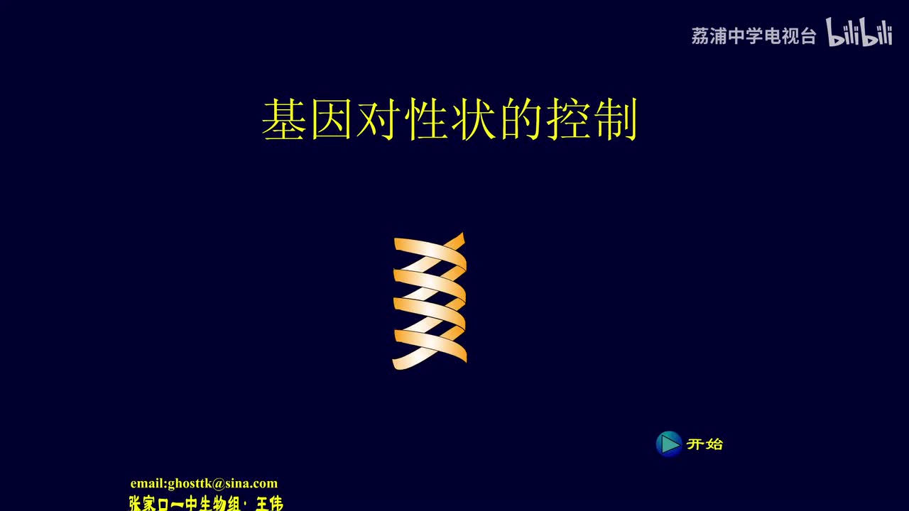 13.基因对性状的控制