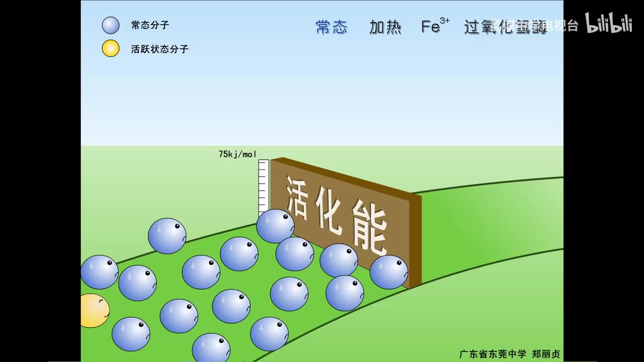 03.酶催化作用的机理