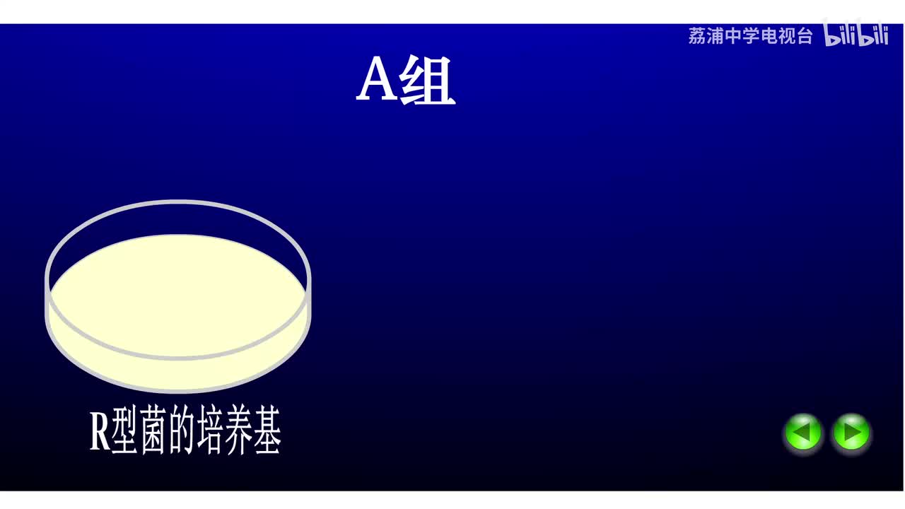 07.艾弗里肺炎双球菌的转化实验（A组）