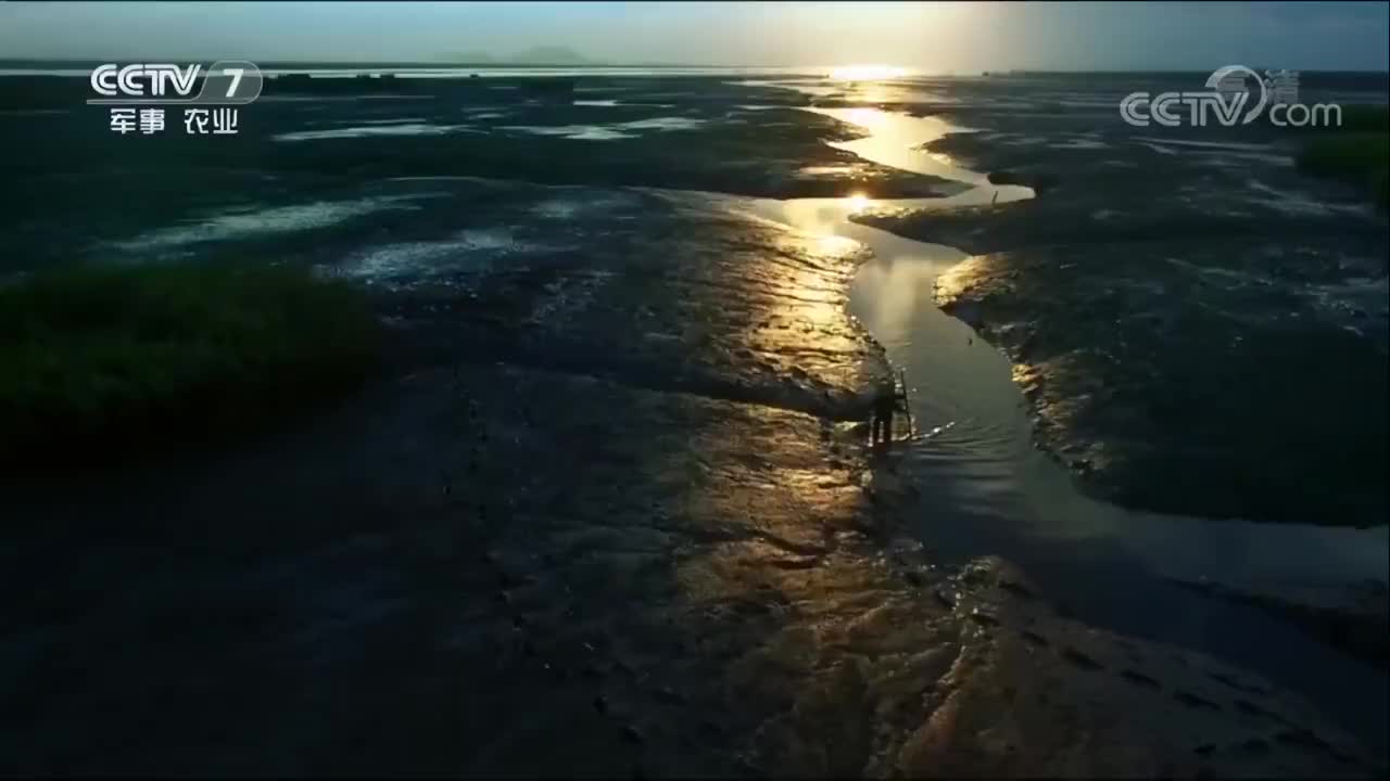 《鲜味的秘密》 05集 鲜之精华