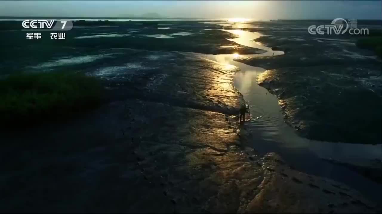 《鲜味的秘密》 02集 时光魔力