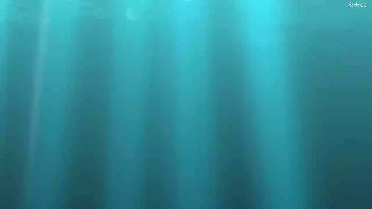 6.1.6 编程练习解析5-0：n项求和_高清 720P