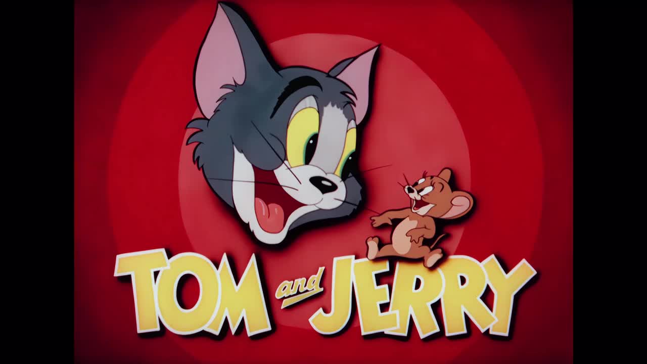 11-4 保龄球馆里的猫