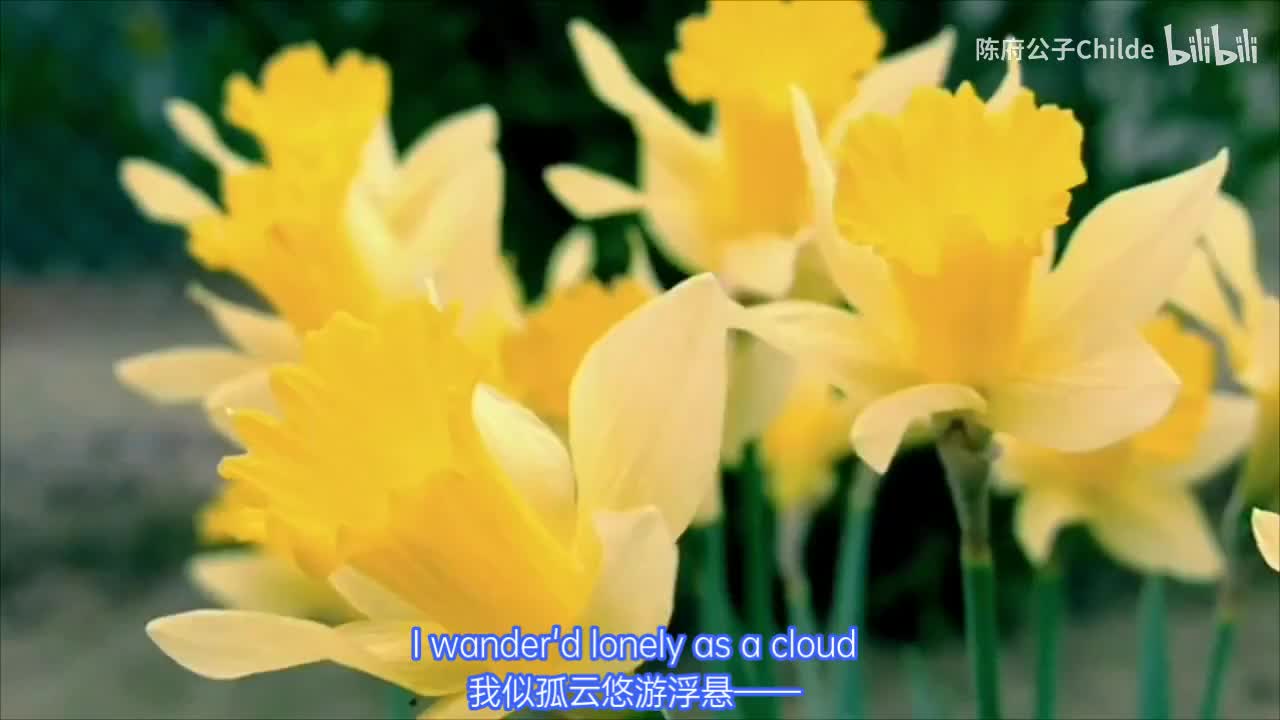 拉尔夫·费因斯 朗读诗歌《咏水仙》