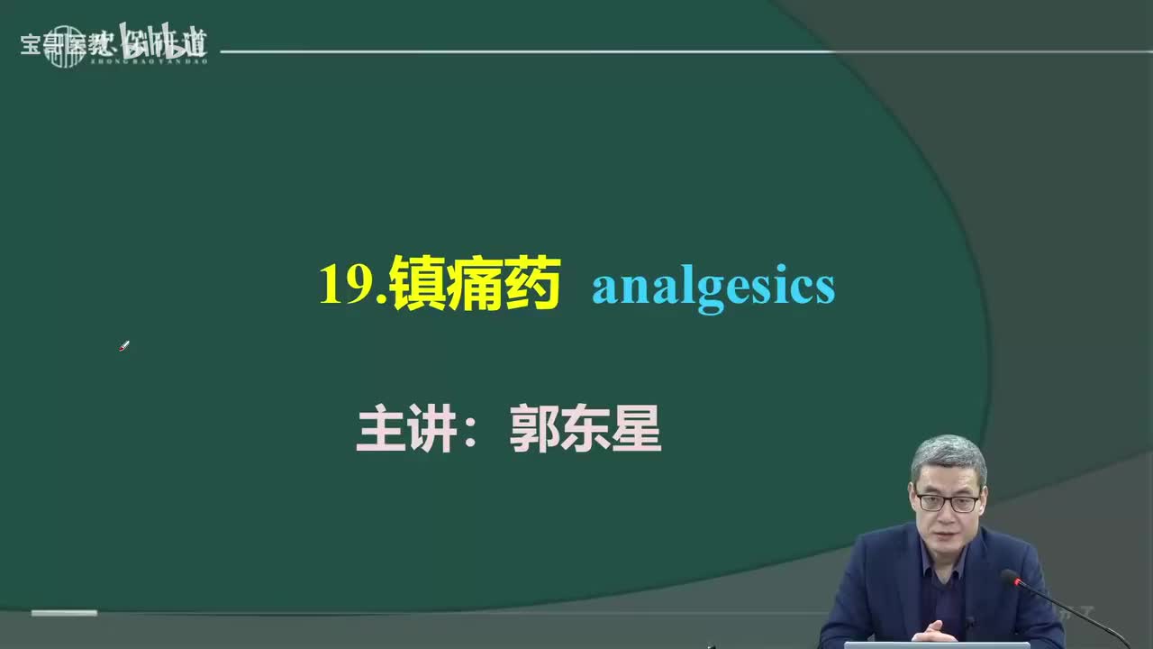 第十九章 镇痛药1