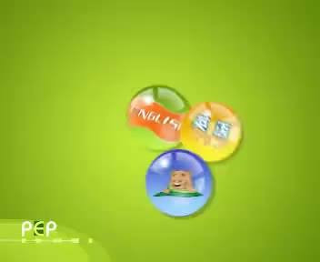 PEP英语6上-Unit6_C_Pronunciation