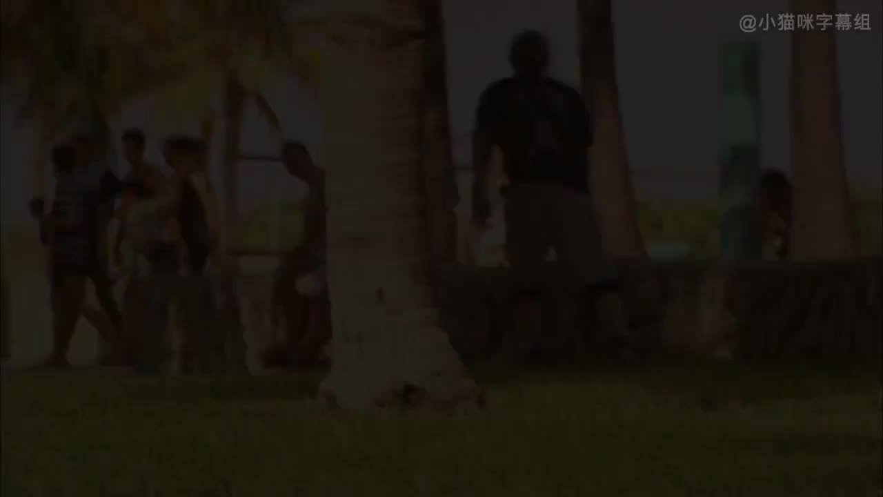 空中浩劫_S08E08_迈阿密神秘事件