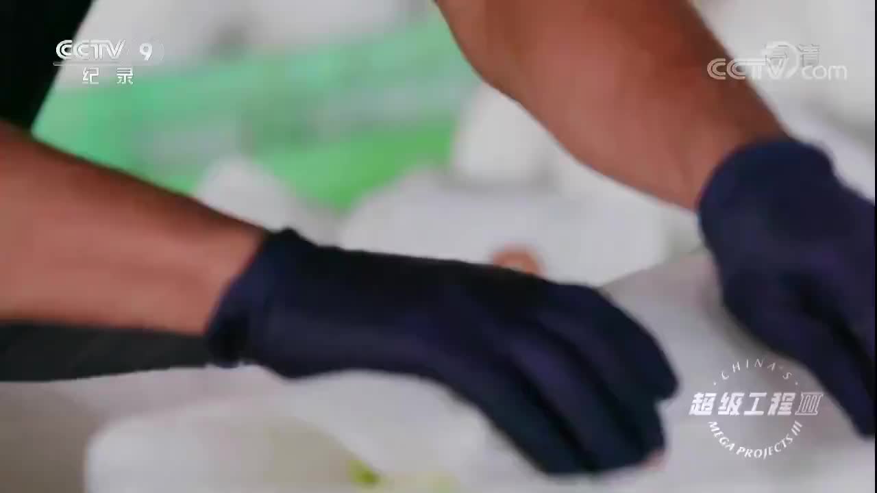 《中国山东•寿光的蔬菜生产基地》by【超级工程Ⅲ】